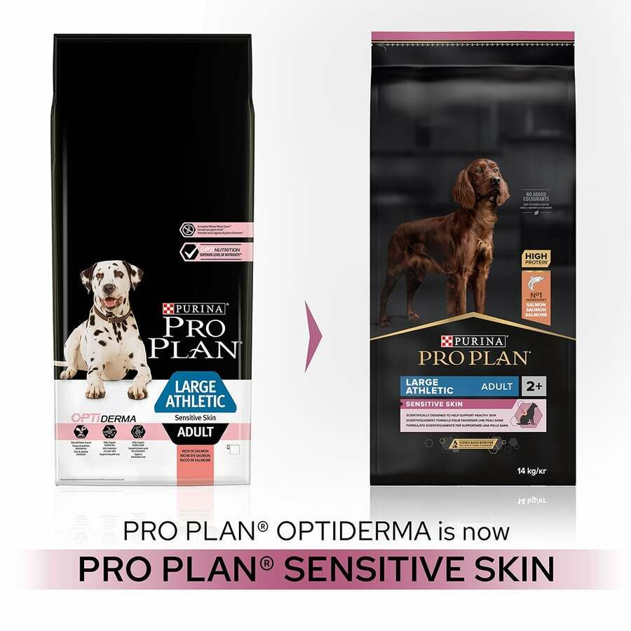 Proplan Large Athletic Büyük Irk Somonlu Köpek Maması 14 Kg(stt.12/2025)