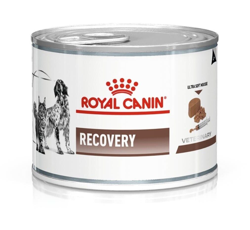 Royal Canin Recovery Kedi- Köpek Konservesi 195 gr (stt:07/2027)