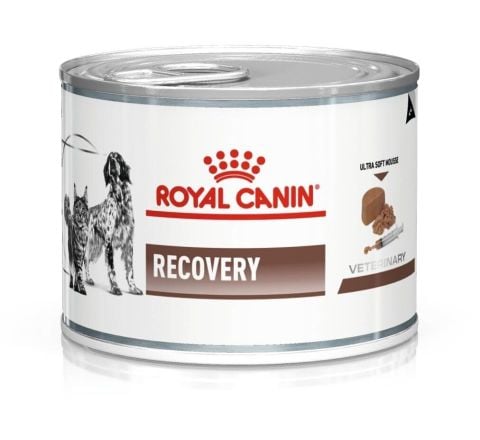 Royal Canin Recovery Kedi- Köpek Konservesi 195 gr (stt:01/2027)