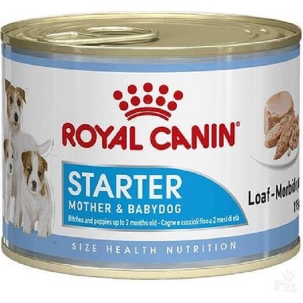 Royal Canin Starter Anne ve Yavruları için Köpek Konservesi 195 gr (stt.09/2027)