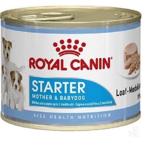 Royal Canin Starter Anne ve Yavruları için Köpek Konservesi 195 gr(stt.09/2027)