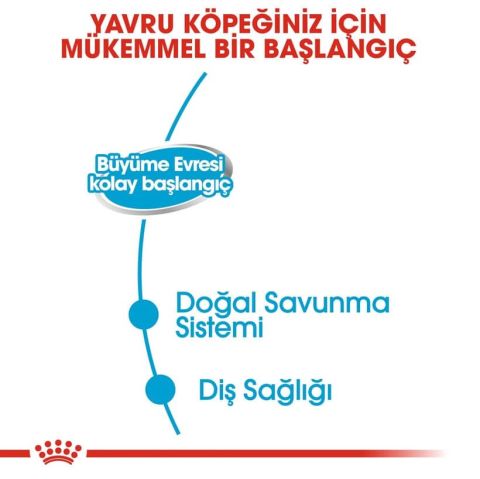 Royal Canin Starter Anne ve Yavruları için Köpek Konservesi 195 gr (stt.09/2027)