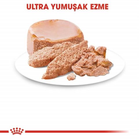 Royal Canin Starter Anne ve Yavruları için Köpek Konservesi 195 gr (stt.09/2027)