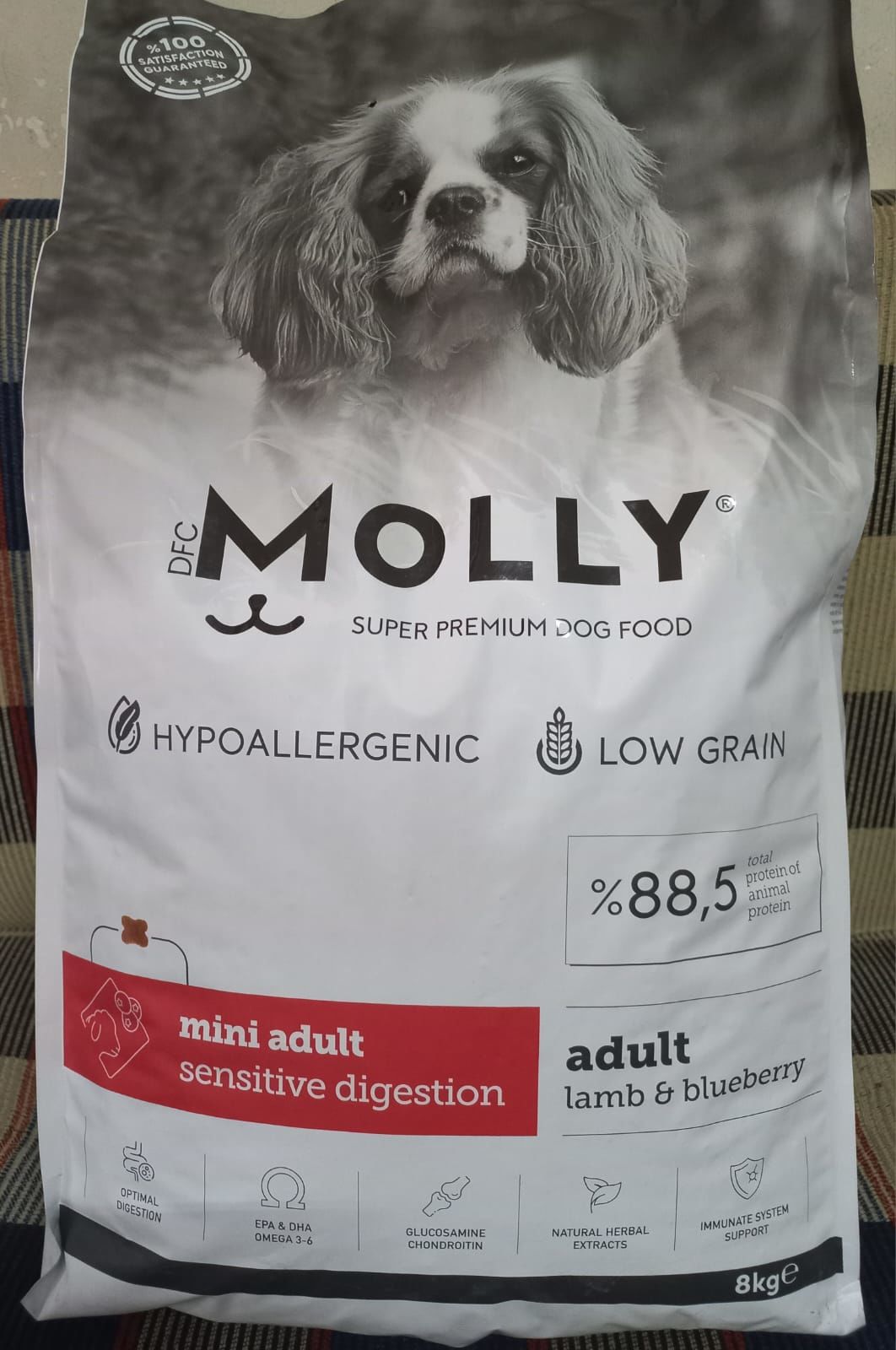 Molly Hypoallergenic Kuzu Etli Küçük Irk Yetişkin Köpek Kuru Maması 8 kg (stt:12/2025)
