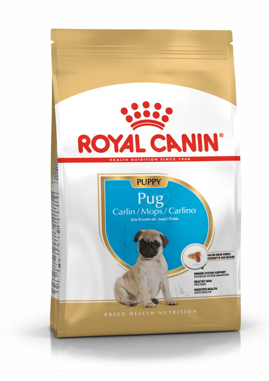 Royal Canin Pug Irkı Junior Yavru Köpek Maması 1,5 kg(stt.10/2026)