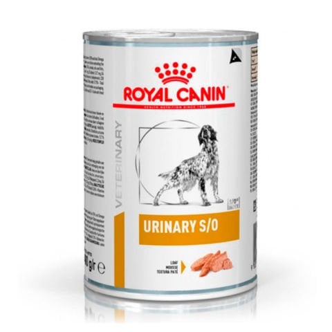 Royal Canin Veterinary Urinary S/O Köpek Konservesi 410 gr (stt:01/2027)