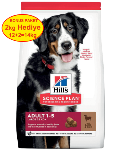 Hills Large Breed Büyük Irk Kuzulu Yetişkin Köpek Maması 12+2 kg Bonus(stt:07/2025)