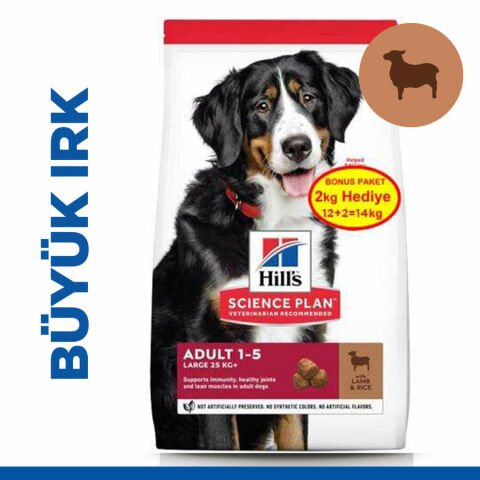 Hills Large Breed Büyük Irk Kuzulu Yetişkin Köpek Maması 12+2 kg Bonus(stt:09/2026)