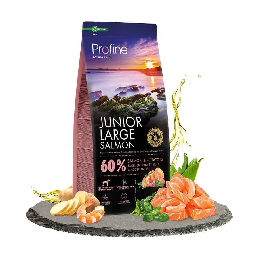 Profine Tahılsız Glutensiz Somonlu  Büyük Irk Yavru Köpek Maması 12 kg (stt:12/2025)