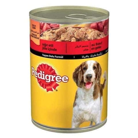 Pedigree Jöle İçinde Sığır Etli Yetişkin Köpek Konservesi 400 Gr (stt.11/2026)