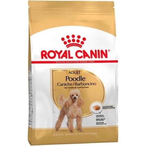 Royal Canin Poodle Adult Yetişkin Köpek Maması 3 kg (stt:03/2027)