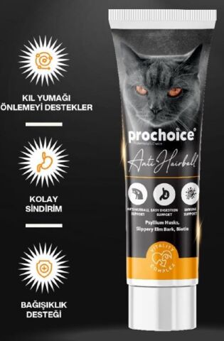 Prochoice  Anti Hairball Kediler için Malt Macun 100 ml (stt:07/2027)