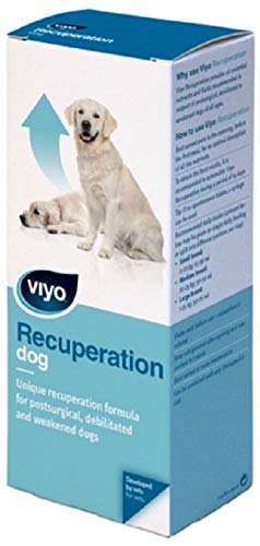 Viyo Recuperation Köpek Ek Besin Takviyesi 150 ml(stt.09/2027)