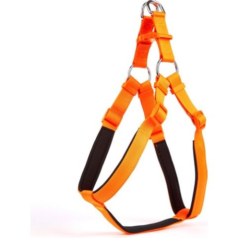 Doggie  DSGTXXLORANGE  XXL-2,5X70-80cm Orange