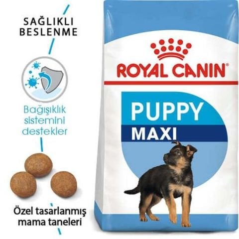 Royal Canin Maxi Puppy Büyük Irk Kuru Yavru Köpek Maması 15 kg(stt.10/2025)