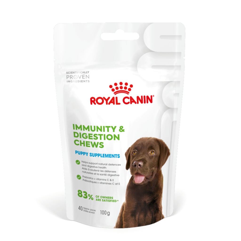 Royal Canin Bağışıklığı ve Sindirim Sistemini Destekleyen Tamamlayıcı Yavru Köpek Ödül Maması 100gr (STT:06/2027)