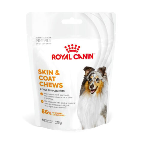 Royal Canin Deri ve Tüy Sağlığı Destekleyici Yetişkin Köpek Ödül Maması 240gr (STT:05/2027)