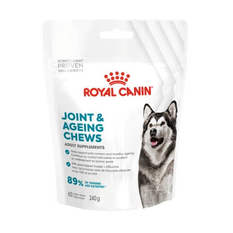 Royal Canin Eklem ve Sağlıklı Yaşlanma Destekli Yetişkin Köpek Ödül Maması 240gr (STT: 07/2027)