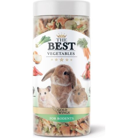 GWSP-006 - The Best Kemirgen Vegetable Snack 100 g