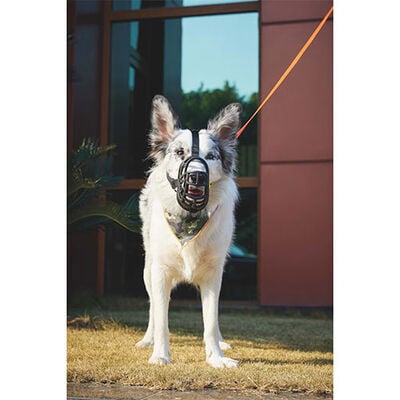 M-Pets Bark Guard Köpek Ağızlığı Sarı Siyah XL (20 x 17 x 9 Cm)