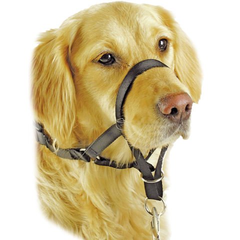 Pawise Köpek Kontrol Ağızlığı Eğitim Tasması No:2
