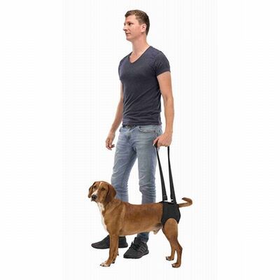 Trixie Köpek Yürüteci Yardımcısı (L) Çapı : 65-75cm (Siyah)