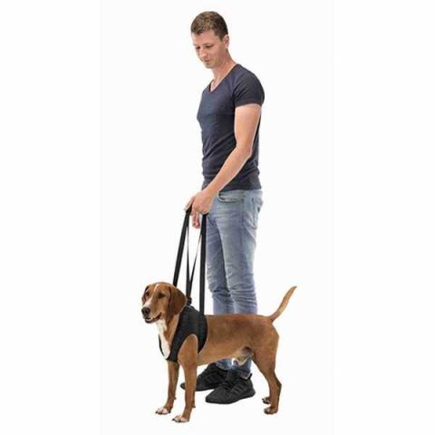 Trixie Köpek Yürüteci Yardımcısı (L) Çapı : 65-75cm (Siyah)