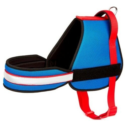 Doggie  AJNGXLGENDARME  XL-2,5x70-85cm Red/Blue