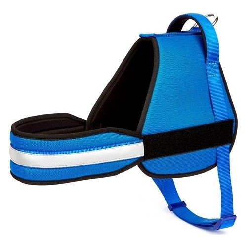 Doggie  AJNGXLROYALBLUE  XL-2,5x70-85cm Royal Blue