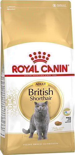 Royal Canın British Shorthair Için Özel Yetiskin Kedi Mamasi 10 Kg (stt.11/2025)