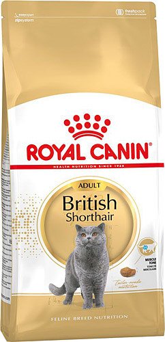 Royal Canın British Shorthair Için Özel Yetiskin Kedi Mamasi 10 Kg (stt.05/2026)