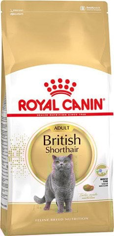 Royal Canın British Shorthair Için Özel Yetiskin Kedi Mamasi 10 Kg (stt.12/2026)