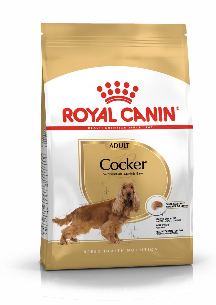 Royal Canin Cocker Adult Cocker Irkı Yetişkin Köpek Maması 3 Kg(stt.08/2027)