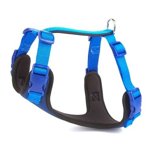 DOGGİE ADGTLROYALBLUE GÖĞÜS TASMASI