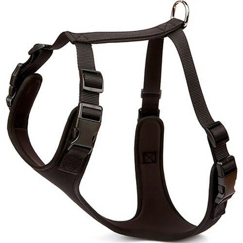 DOGGİE ADGTXLBLACK GÖĞÜS TASMASI