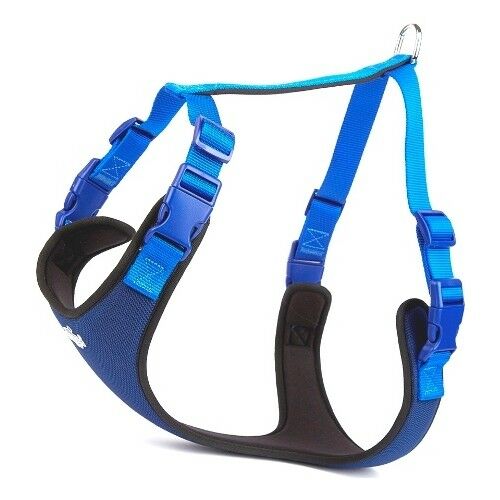 DOGGİE ADGTXLROYALBLUE GÖĞÜS TASMASI