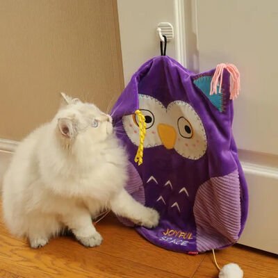 Gigwi Joyful Space Kedi Otlu Kedi Oyun Alanı