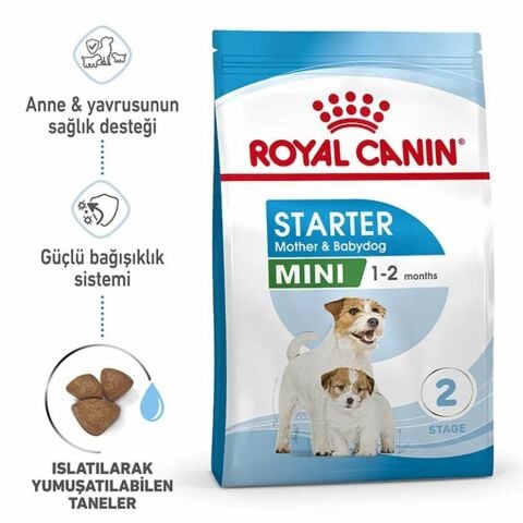 Royal Canin Mini Starter Anne ve Yavru Köpekler için Kuru Mama 4 kg (stt.04/2027)